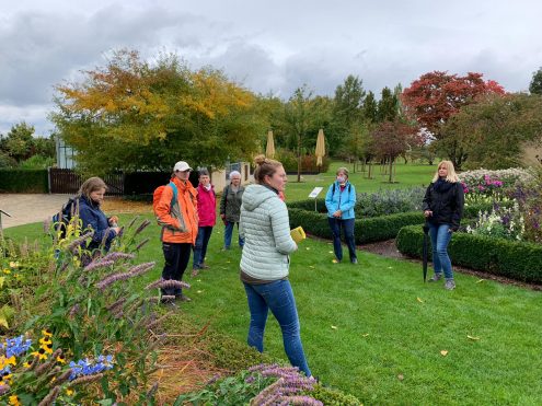 2020_11.10Lady`s Wanderung (13)